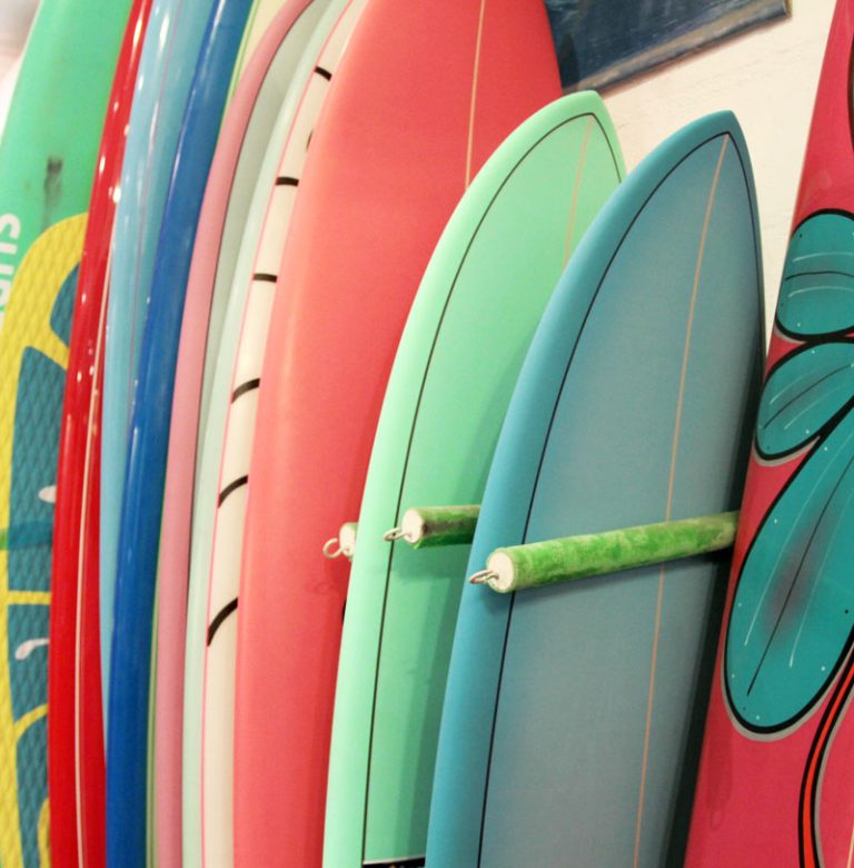 How to Choose the Best Beginner Surfboard | Surf Diva